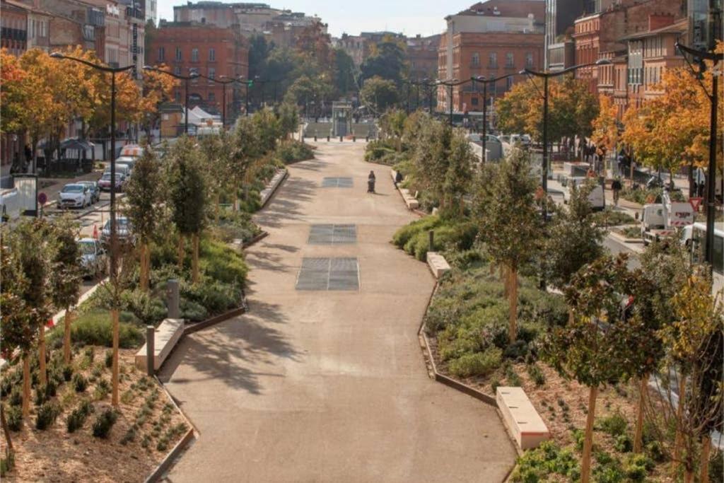 Canal Du Midi, Cosy City Center Apt, Train Station Toulouse Bagian luar foto